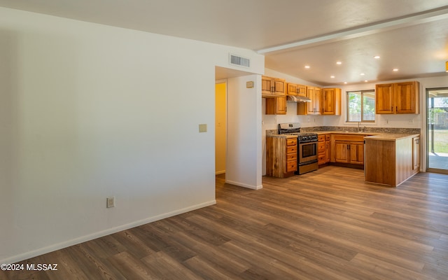 kitchen featuring stainless steel gas range, dark hardwood / wood-style flooring, and sink