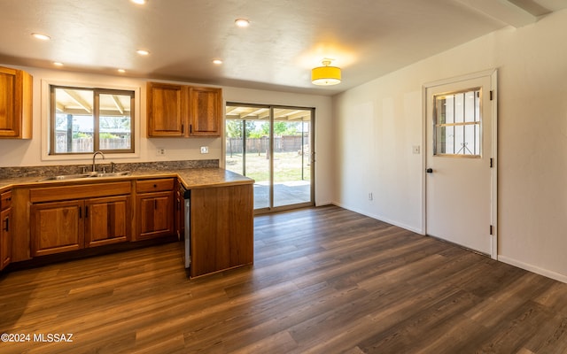 kitchen featuring sink, a wealth of natural light, and dark hardwood / wood-style floors