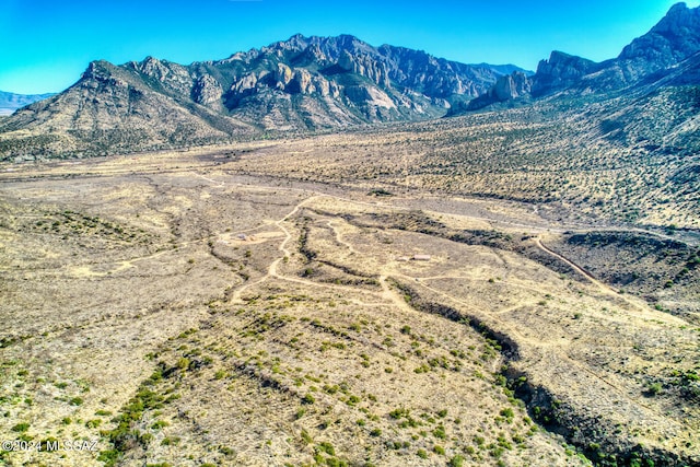 TBD S Limestone Road 013W&V, Portal AZ, 85632 land for sale