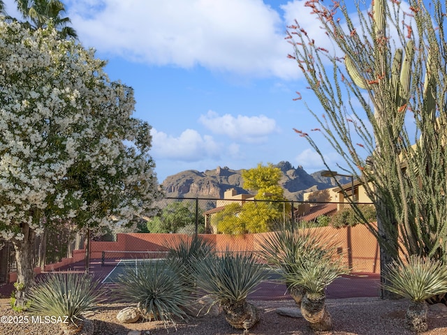 view of yard featuring a mountain view and tennis court