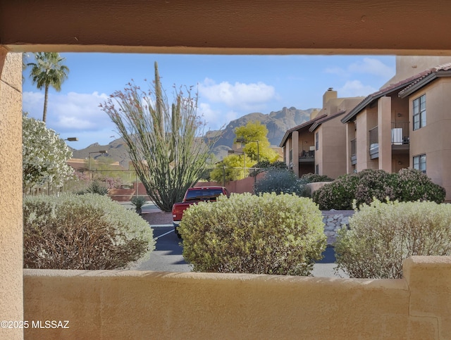 view of yard featuring a mountain view