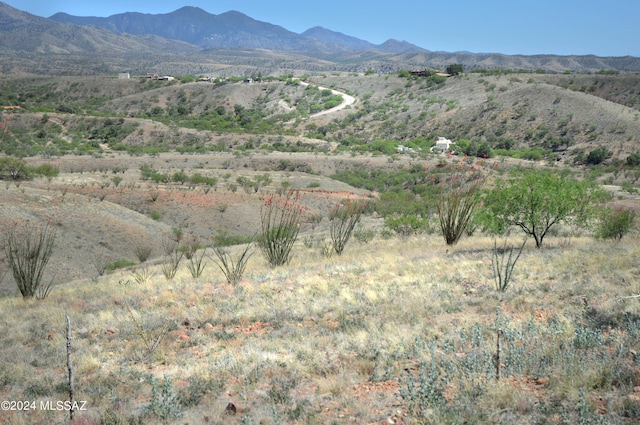 55 Circulo Montana # 25, Patagonia AZ, 85624 land for sale