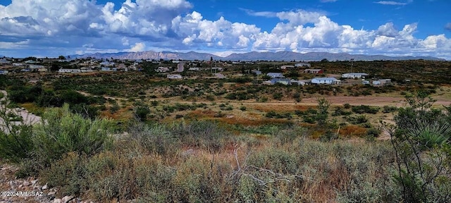 Listing photo 2 for LOT21 Navajo Pl, Tombstone AZ 85638