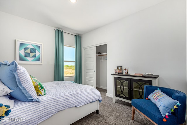 bedroom with carpet flooring and a closet