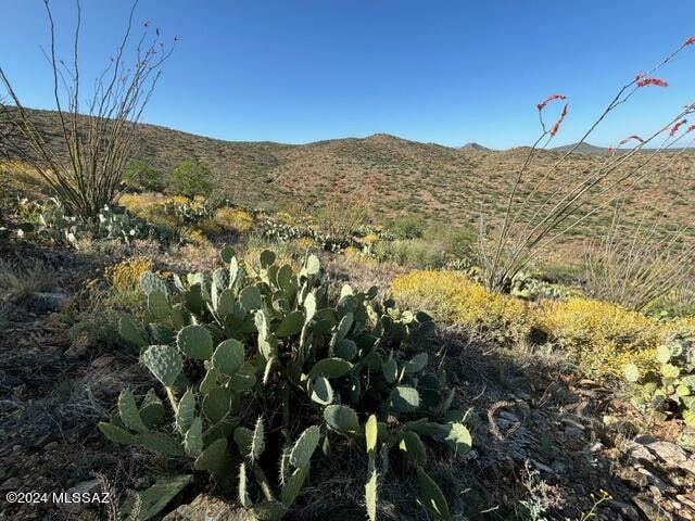 Listing photo 2 for TBD S Pistol Hill Rd, Vail AZ 85641