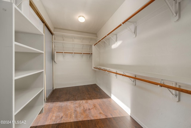 spacious closet featuring dark hardwood / wood-style floors