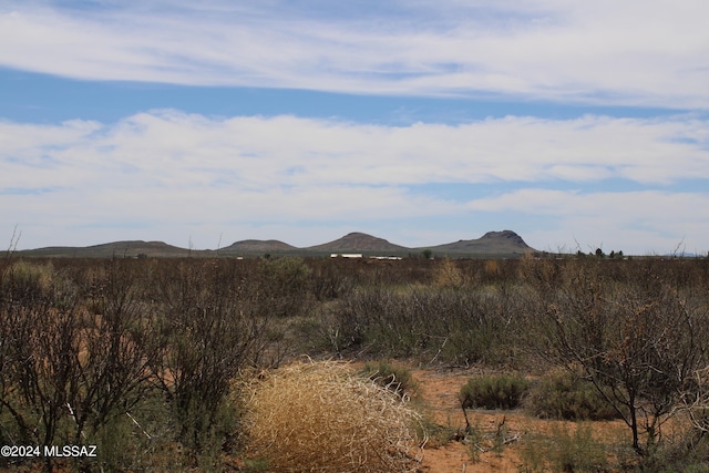 10.03ACRE E White Tail Rd Unit 28, Pearce AZ, 85625 land for sale