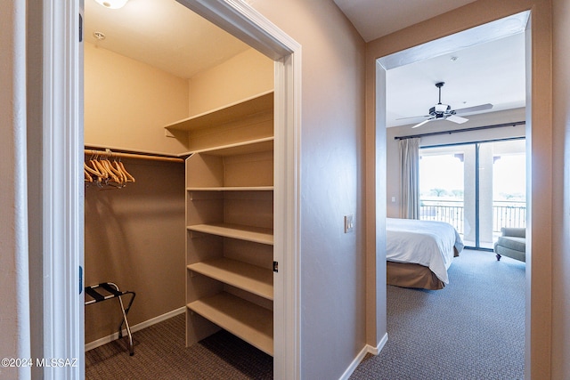 walk in closet featuring ceiling fan and carpet flooring