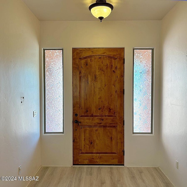 entryway with light hardwood / wood-style flooring and a wealth of natural light