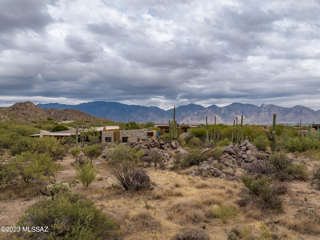 1380 W Stony Run Pl Unit 206, Oro Valley AZ, 85755 land for sale