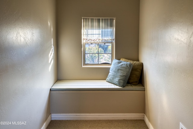 sitting room with carpet flooring