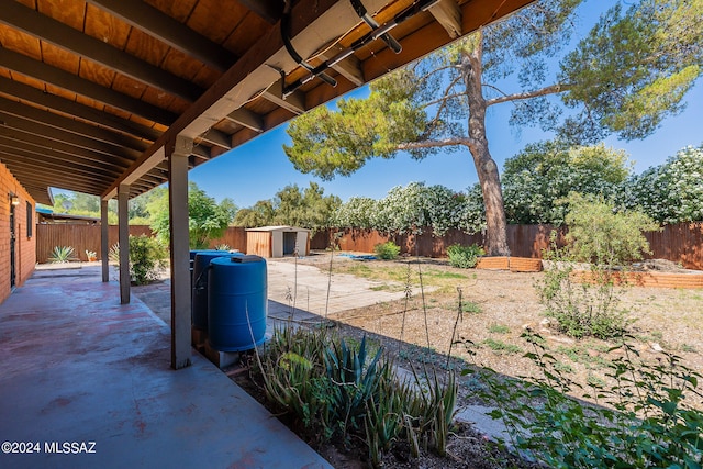 view of yard with a storage shed and a patio