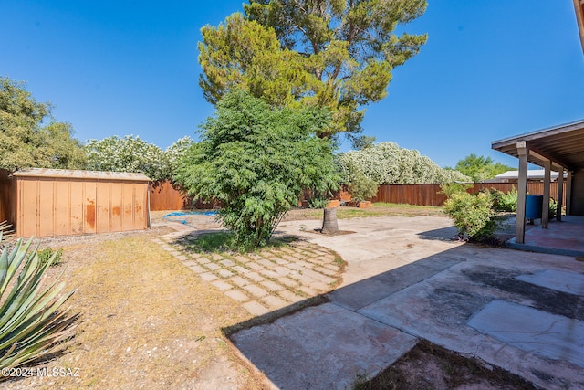 view of yard with a shed and a patio