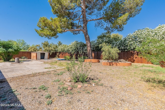 view of yard featuring a patio and a shed