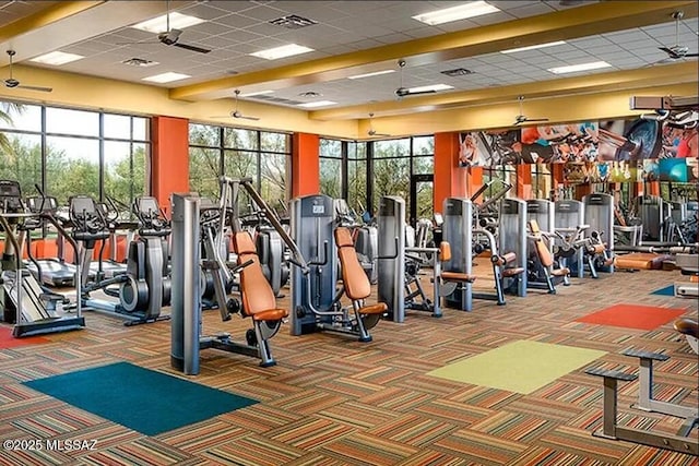 gym featuring carpet floors and a wealth of natural light