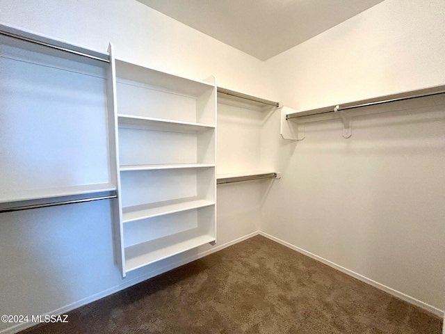 walk in closet featuring carpet flooring