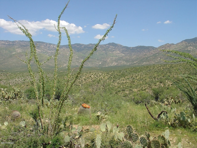 Listing photo 3 for 7301 S Red Hill Rd Unit 84, Vail AZ 85641