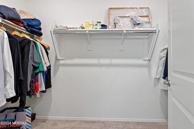 walk in closet featuring carpet floors