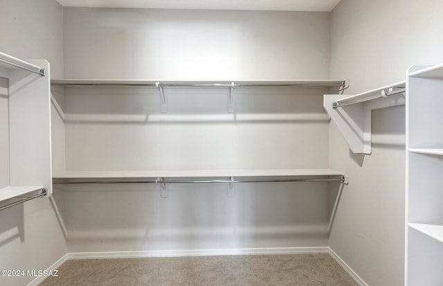 walk in closet with light colored carpet