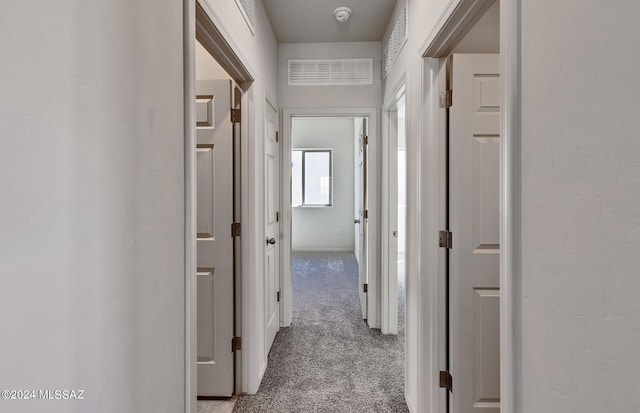 hallway featuring carpet floors