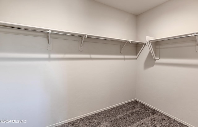 walk in closet with carpet