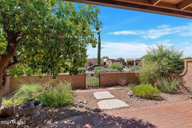 view of yard with a fenced front yard and a gate