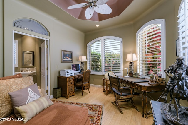 office space with ceiling fan and light wood-type flooring