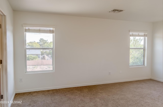 unfurnished room with carpet and a healthy amount of sunlight