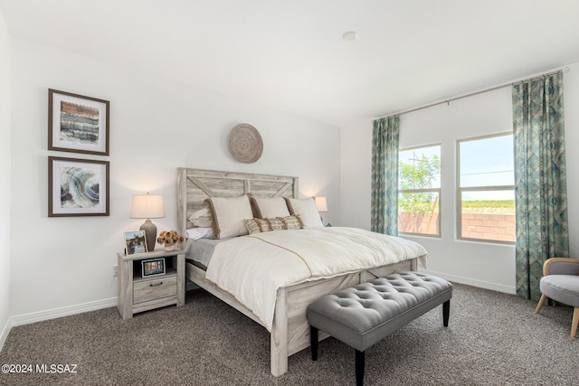 bedroom with baseboards and carpet floors