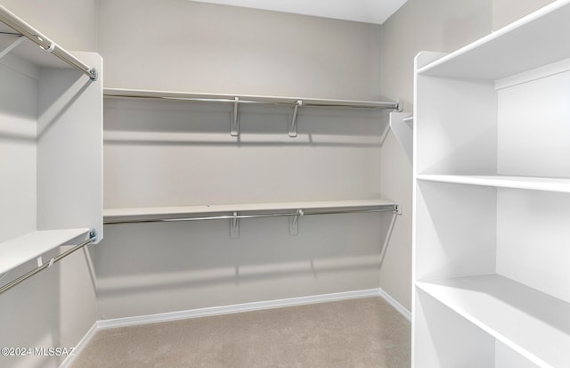 walk in closet featuring carpet flooring