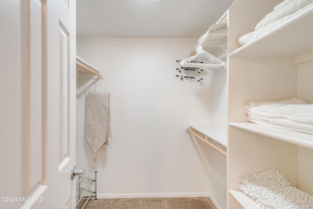 walk in closet with light carpet