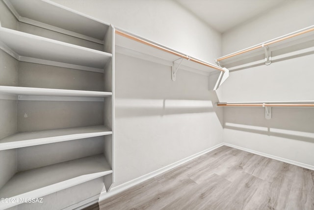 spacious closet with light wood-type flooring