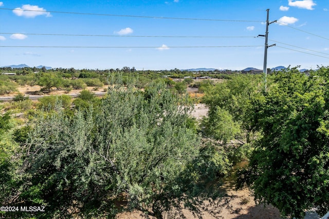 view of local wilderness with a mountain view