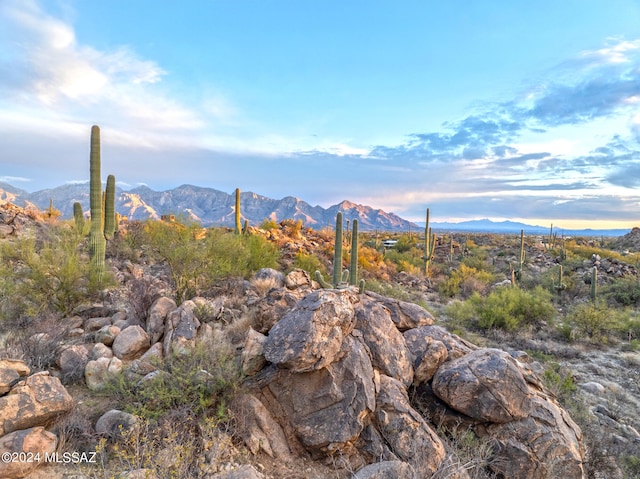 Listing photo 3 for 1178 W Tortolita Mountain Cir Unit 196, Oro Valley AZ 85755