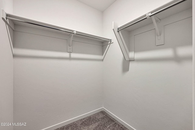 walk in closet with carpet