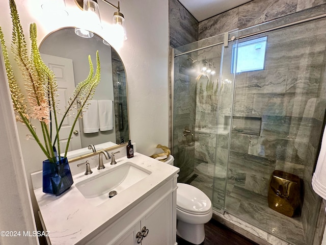 bathroom featuring a shower with door, vanity, toilet, and wood-type flooring