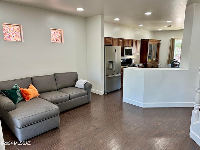 living room with dark hardwood / wood-style floors and sink