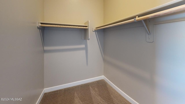 walk in closet with carpet flooring