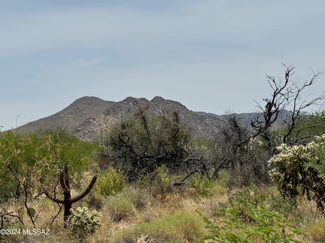 14707 W Crestwood St Unit 194, Tucson AZ, 85736 land for sale