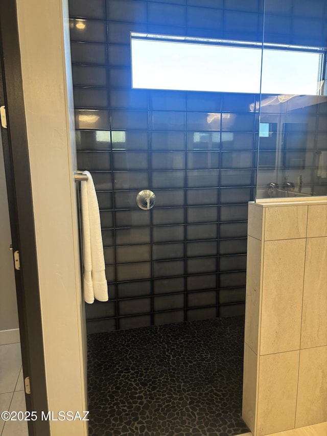 full bathroom featuring walk in shower