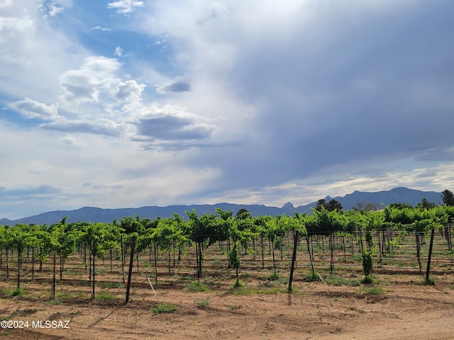 mountain view featuring a rural view