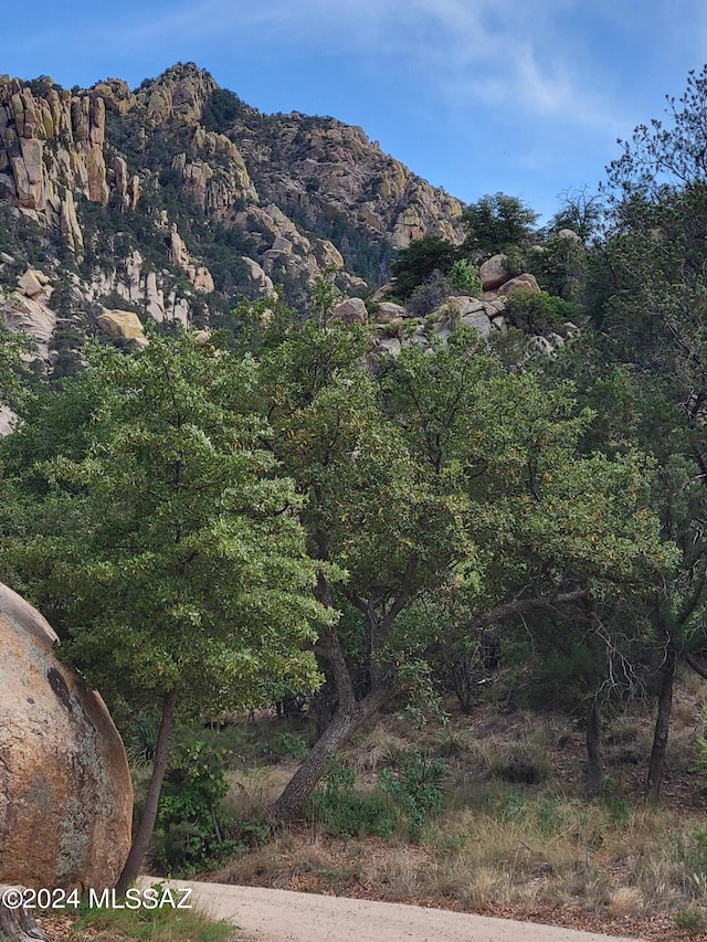 view of mountain feature