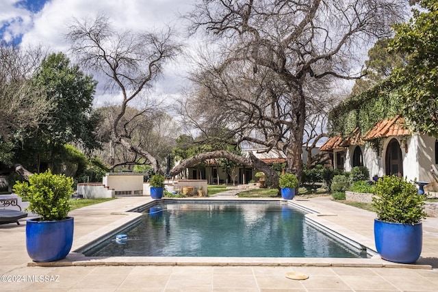 view of pool featuring a patio