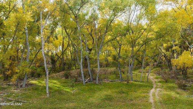 view of landscape