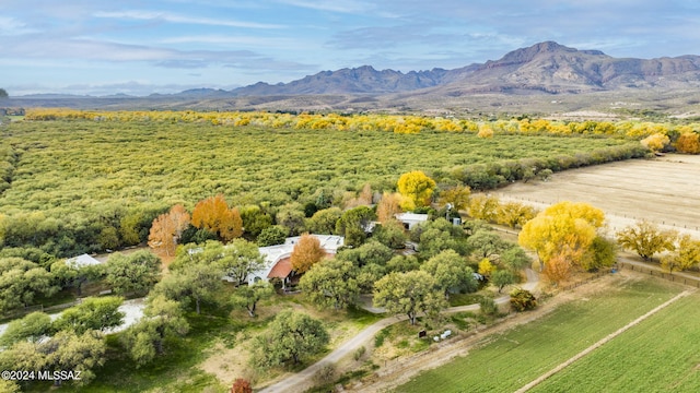 drone / aerial view with a mountain view