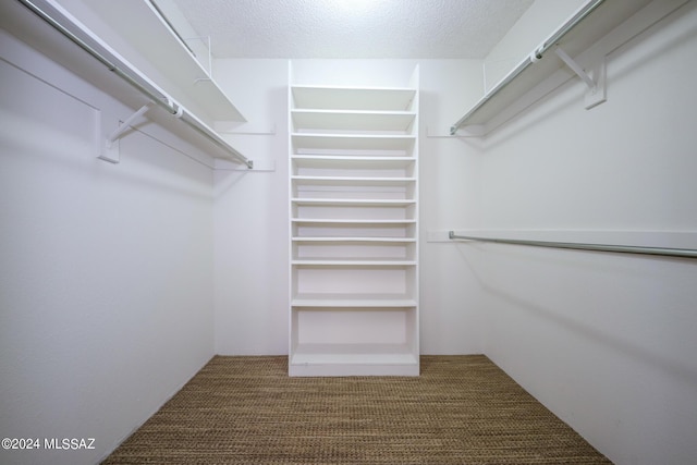 walk in closet with carpet floors