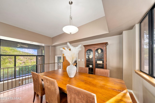 dining space featuring hardwood / wood-style flooring