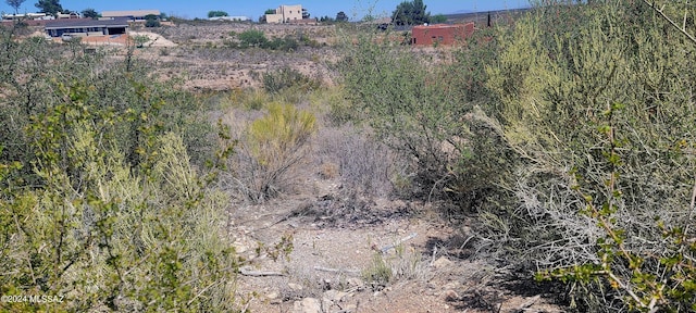 Listing photo 2 for LOT81 Apache Dr, Tombstone AZ 85638