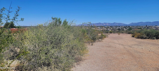 Listing photo 3 for LOT81 Apache Dr, Tombstone AZ 85638