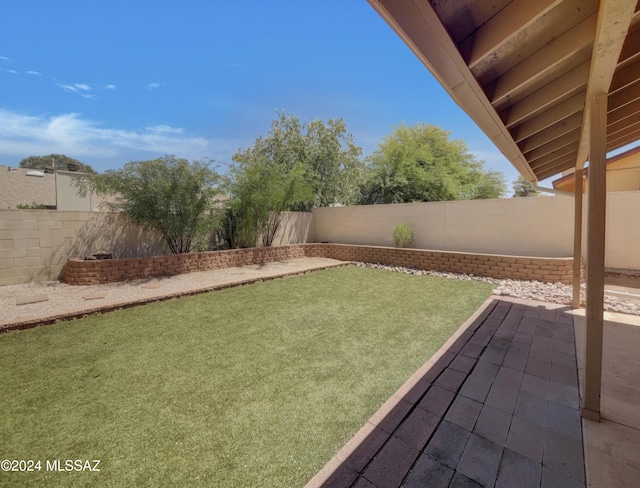 view of yard featuring a patio